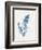 Indigo Fern IV-Gwendolyn Babbitt-Framed Art Print