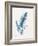 Indigo Fern IV-Gwendolyn Babbitt-Framed Art Print