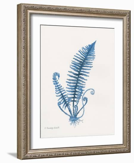 Indigo Fern IV-Gwendolyn Babbitt-Framed Art Print