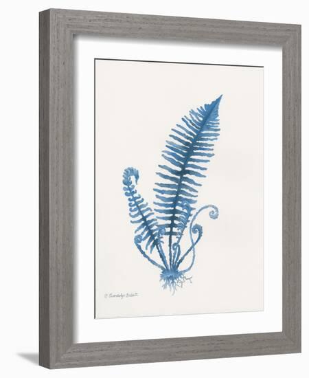 Indigo Fern IV-Gwendolyn Babbitt-Framed Art Print