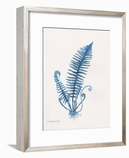 Indigo Fern IV-Gwendolyn Babbitt-Framed Art Print