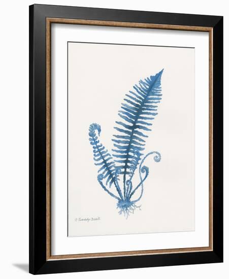 Indigo Fern IV-Gwendolyn Babbitt-Framed Art Print