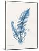 Indigo Fern IV-Gwendolyn Babbitt-Mounted Art Print