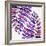 Indigo Fern Leaf Pattern-Cat Coquillette-Framed Giclee Print