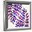 Indigo Fern Leaf Pattern-Cat Coquillette-Framed Giclee Print