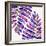 Indigo Fern Leaf Pattern-Cat Coquillette-Framed Giclee Print