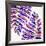 Indigo Fern Leaf Pattern-Cat Coquillette-Framed Giclee Print