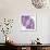 Indigo Fern Leaf Pattern-Cat Coquillette-Framed Giclee Print displayed on a wall