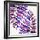 Indigo Fern Leaf Pattern-Cat Coquillette-Framed Giclee Print