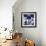 Indigo Floral Katagami I-Vision Studio-Framed Art Print displayed on a wall