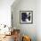 Indigo Garden I-Daphne Brissonnet-Framed Premium Giclee Print displayed on a wall