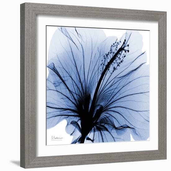 Indigo Hibiscus Turn-Albert Koetsier-Framed Art Print