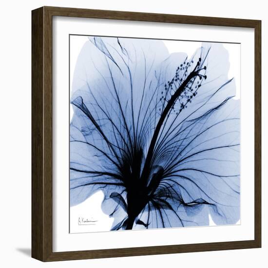 Indigo Hibiscus Turn-Albert Koetsier-Framed Art Print