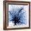 Indigo Hibiscus Turn-Albert Koetsier-Framed Art Print