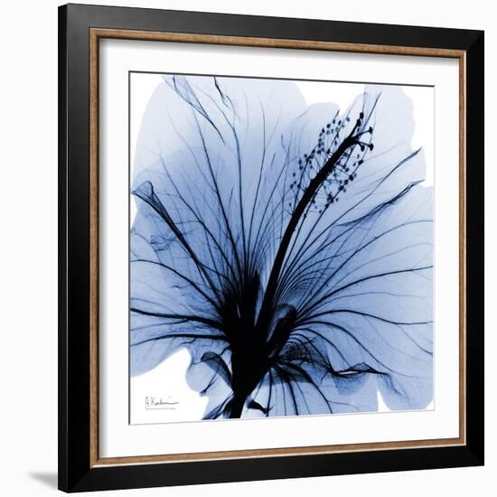 Indigo Hibiscus Turn-Albert Koetsier-Framed Art Print