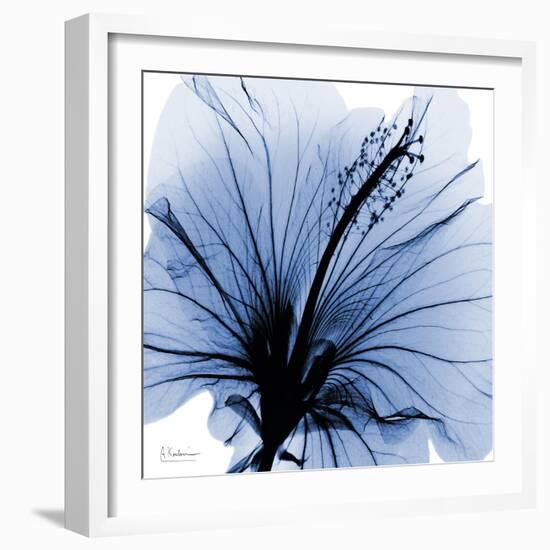 Indigo Hibiscus Turn-Albert Koetsier-Framed Art Print