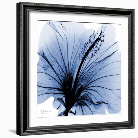 Indigo Hibiscus Turn-Albert Koetsier-Framed Art Print