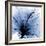 Indigo Hibiscus Turn-Albert Koetsier-Framed Art Print