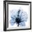 Indigo Hibiscus-Albert Koetsier-Framed Art Print