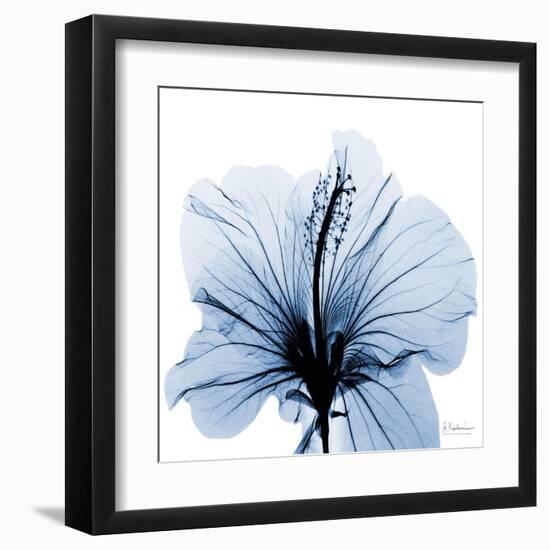 Indigo Hibiscus-Albert Koetsier-Framed Art Print