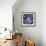 Indigo II-Color Bakery-Framed Giclee Print displayed on a wall