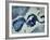 Indigo III-Kari Taylor-Framed Giclee Print