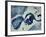 Indigo III-Kari Taylor-Framed Giclee Print