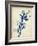 Indigo Leaf Study I-Vision Studio-Framed Art Print