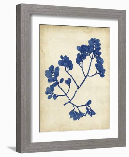 Indigo Leaf Study III-Vision Studio-Framed Art Print