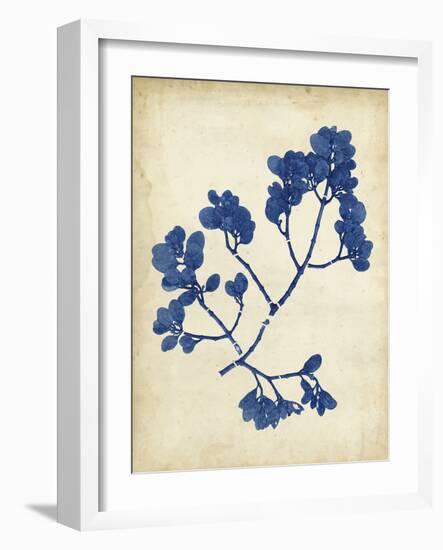 Indigo Leaf Study III-Vision Studio-Framed Art Print