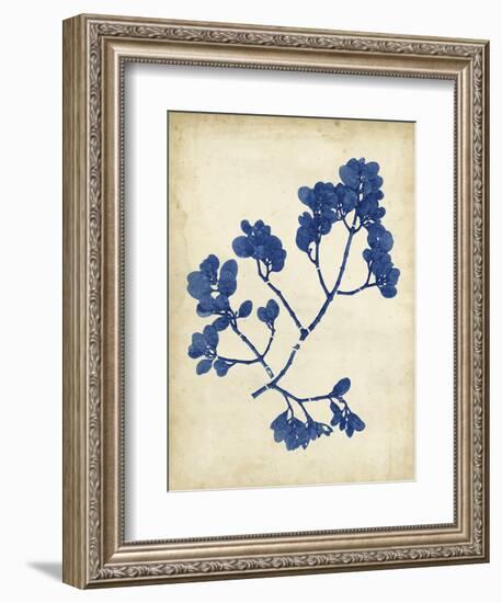 Indigo Leaf Study III-Vision Studio-Framed Art Print