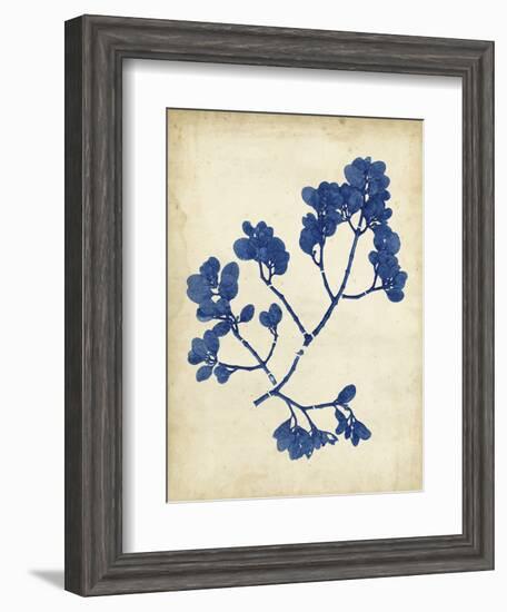 Indigo Leaf Study III-Vision Studio-Framed Art Print