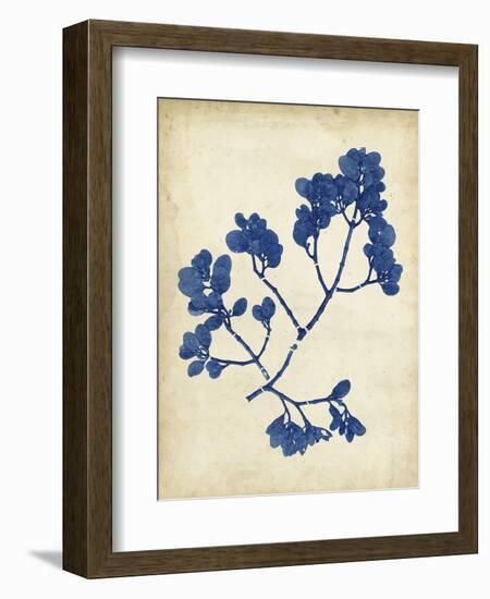 Indigo Leaf Study III-Vision Studio-Framed Art Print