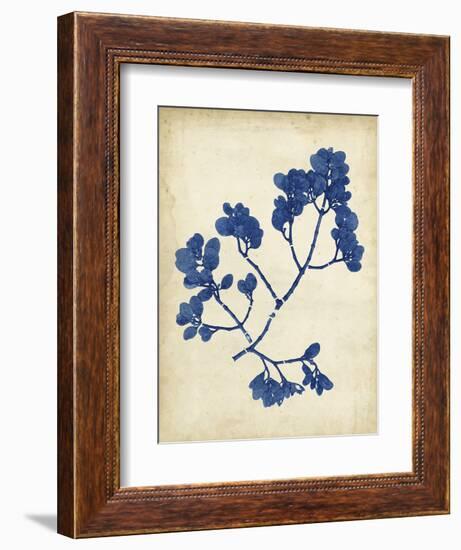 Indigo Leaf Study III-Vision Studio-Framed Art Print