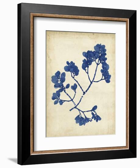 Indigo Leaf Study III-Vision Studio-Framed Art Print