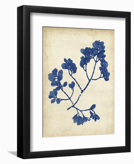 Indigo Leaf Study III-Vision Studio-Framed Art Print