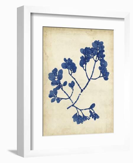 Indigo Leaf Study III-Vision Studio-Framed Art Print