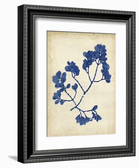 Indigo Leaf Study III-Vision Studio-Framed Art Print