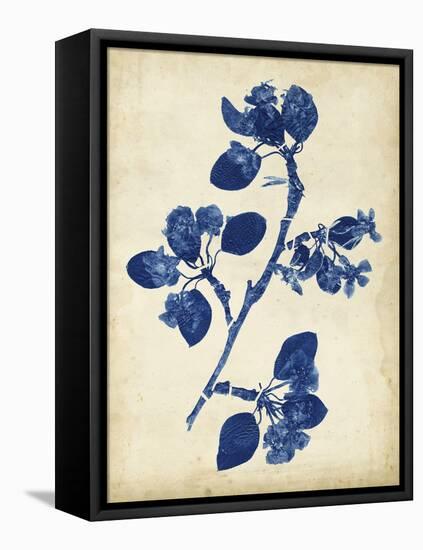 Indigo Leaf Study IV-Vision Studio-Framed Stretched Canvas