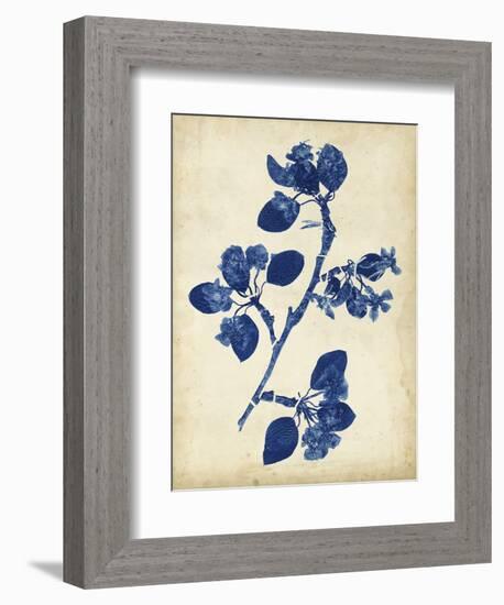 Indigo Leaf Study IV-Vision Studio-Framed Art Print