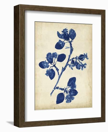 Indigo Leaf Study IV-Vision Studio-Framed Art Print