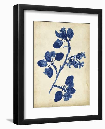 Indigo Leaf Study IV-Vision Studio-Framed Art Print