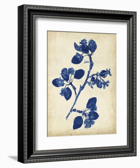 Indigo Leaf Study IV-Vision Studio-Framed Art Print