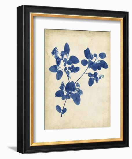 Indigo Leaf Study V-Vision Studio-Framed Art Print