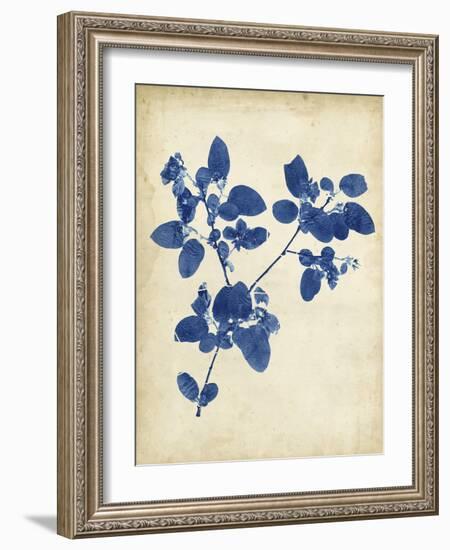 Indigo Leaf Study V-Vision Studio-Framed Art Print