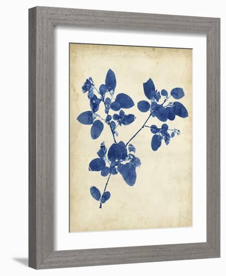 Indigo Leaf Study V-Vision Studio-Framed Art Print