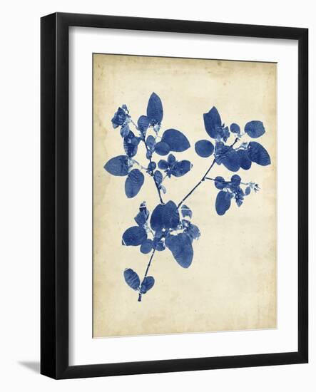 Indigo Leaf Study V-Vision Studio-Framed Art Print