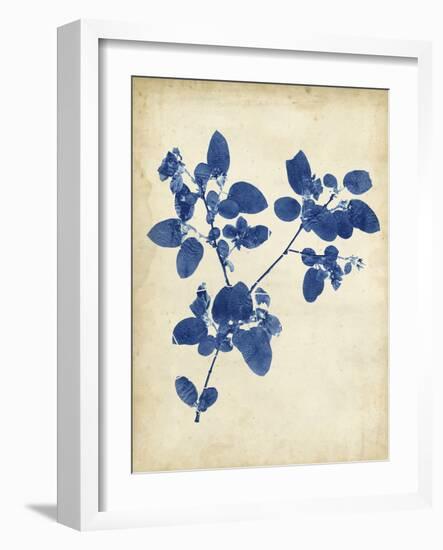 Indigo Leaf Study V-Vision Studio-Framed Art Print