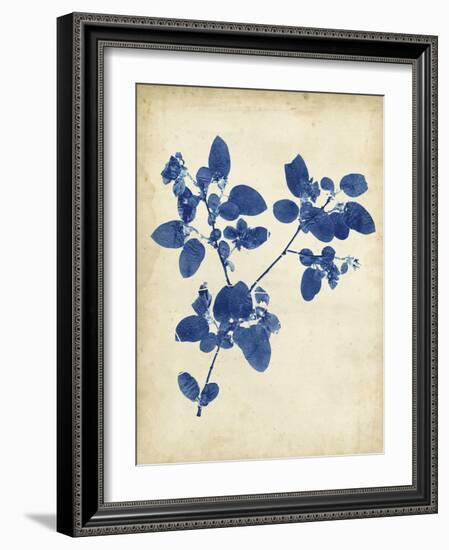 Indigo Leaf Study V-Vision Studio-Framed Art Print