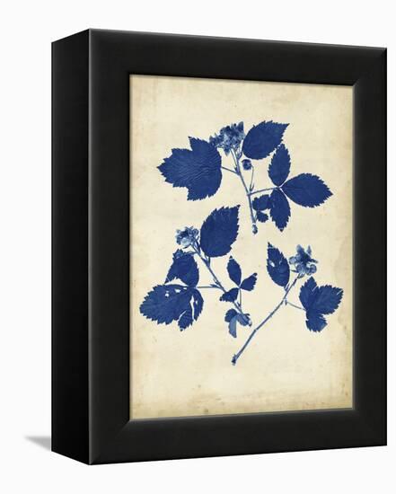 Indigo Leaf Study VI-Vision Studio-Framed Stretched Canvas